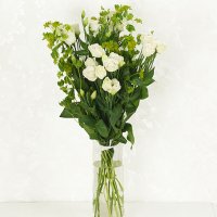 Prärieklockor - Välj önskad färg - Buketter - Skicka blommor med blombud %city%