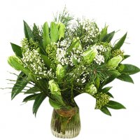 Vita jultulpaner - Julblommor - Skicka blommor med blombud