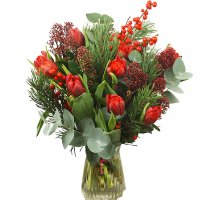 Röda jultulpaner - Julblommor - Skicka Julblommor med blombud %city%