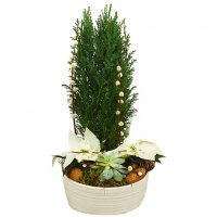 God Helg (vit) - Julblommor - Skicka Julblommor med blombud %city%