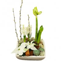 Strictly christmas - Julblommor - Skicka Julblommor med blombud %city%