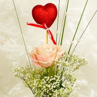 Rosa glitterros närbild - Rosor - Skicka blommor %city%