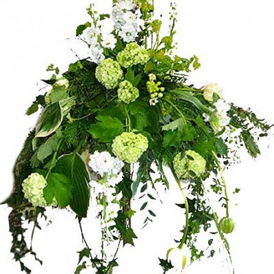 Droppe - Begravningsdekorationer - Skicka begravningsblommor %city%