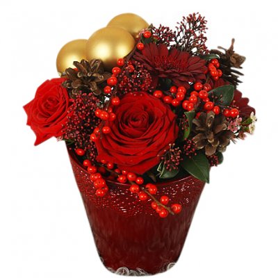 Merry X-mas - Julblommor - Skicka Julblommor med blombud %city%