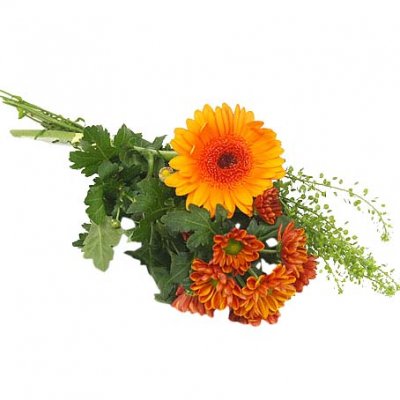 Handbukett i orange med germini - Handblommor - Skicka begravningsblommor %city%
