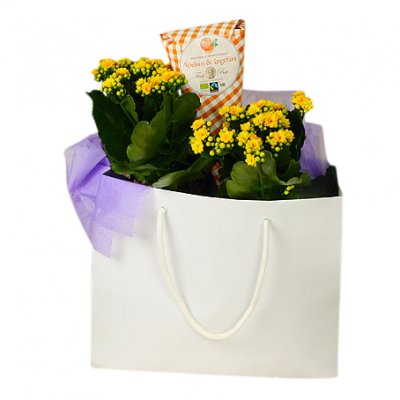 Påskpåse med kalanchoe - Påskblommor - Skicka blommor